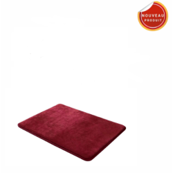 TAPIS MEMOIRE DE FORM BORDEAUX 50X70CMX15CM