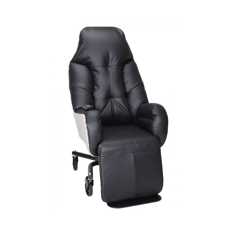 Fauteuil liberty e PVE/PU EBENE